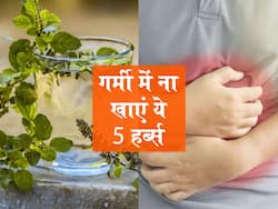 पेट की गर्मी बढ़ा सकते हैं तुलसी और तेज पत्ते जैसे ये 5 आयुर्वेदिक हर्ब्स, गर्मियों में ज्यादा सेवन से बचें
