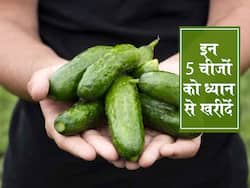 गर्मी में खीरा ककड़ी समेत इन 5 चीजों को खरीदते समय अक्सर करते हैं लोग गलतियां, सेहतमंद रहना है तो जरूर जानें