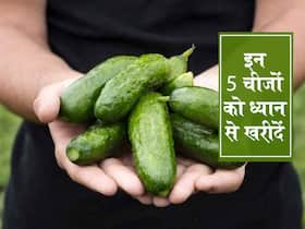 गर्मी में खीरा ककड़ी समेत इन 5 चीजों को खरीदते समय अक्सर करते हैं लोग गलतियां, सेहतमंद रहना है तो जरूर जानें गर्मी में खीरा ककड़ी समेत इन 5 चीजों को खरीदते समय अक्सर करते हैं लोग गलतियां, सेहतमंद रहना है तो जरूर जानें