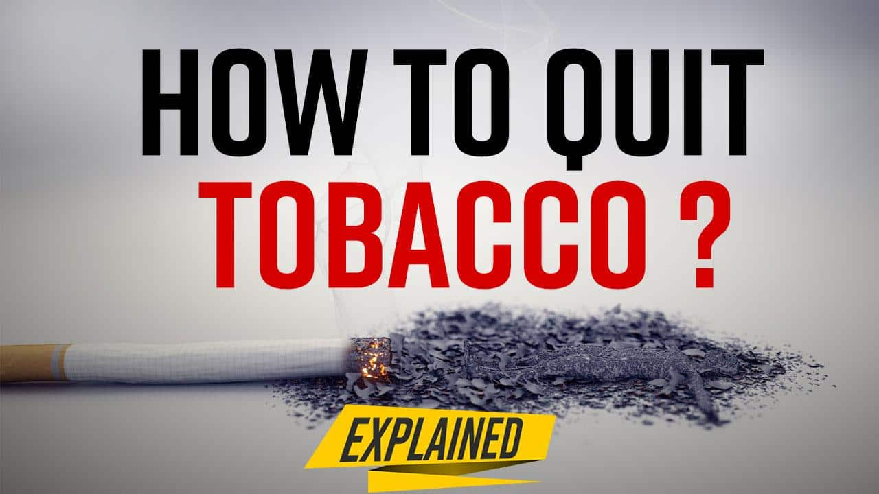 World No Tobacco Day 2022: Want to Quit Tobacco, Know how- Watch Video ...