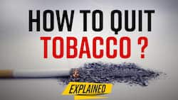 World No Tobacco Day 2022: Want to Quit Tobacco, Know how- Watch Video