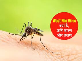 West Nile Virus: केरल में मच्छरों से फैलने वाले इस वायरस से हुई 1 व्यक्ति की मौत, जानें क्या है ये वायरल बीमारी