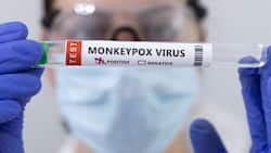 WHO May Declare Global Health Emergency Status For Monkeypox As Cases Surge To 6000
