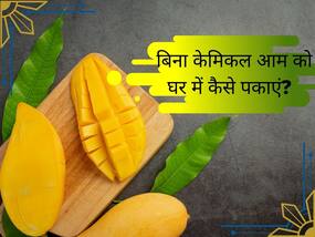 सेहत को नुकसान पहुंचाते हैं केमिकल से पके आम, जानिए कैसे करें केमिकल वाले आम की पहचान