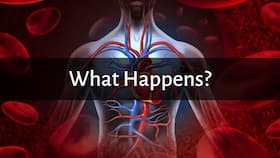 Benefits of Blood Donation: Here's What Happens To Your Body When You Donate Blood