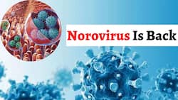 Norovirus Returns: 2 Kids In Kerala Tested Positive; Diarrhoea And Other Symptoms To Know