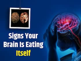 7 Warning Symptoms Your Brain Is Eating Itself 7 Warning Symptoms Your Brain Is Eating Itself
