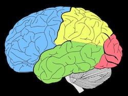 Outdoor and Indoor Air Pollutants Can Affect Children   s Brain Development: Study