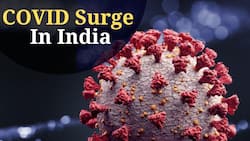 COVID-19 Cases Rise In India: Country Logs 13,313 Fresh Cases and 38 Deaths In One Day