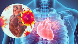 COVID Heart: Chest Discomfort And Other Signs COVID-19 Has Damaged Your Heart