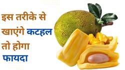 kathal Seed Benefits: इन 3 तरीक़ों से कटहल से मिलेगा प्रोटीन ओर विटामिन बी