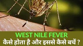 West Nile Fever से केरल में हुई पहली मौत, कितना खतरनाक है फीवर