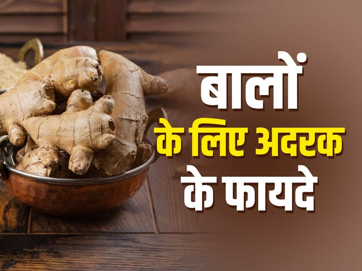 अदरक में मिलने वाले ये 4 तत्व बालों के लिए हैं बड़े काम की चीज, कई