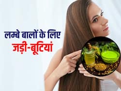 हेयर ग्रोथ के लिए आयुर्वेदिक जड़ी-बूटियों वाले उपाय आएंगे काम, कम होगी हेयर फॉल की भी समस्या