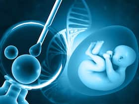 What To Expect Along The Path To Conceive With IVF? What To Expect Along The Path To Conceive With IVF?