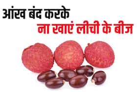 लीची के बीज क्या सच में सेहत के लिए है फायदेमंद? खाने से पहले एक्सपर्ट से जानें इसके 4 बड़े नुकसान