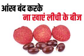 लीची के बीज क्या सच में सेहत के लिए है फायदेमंद? खाने से पहले एक्सपर्ट से जानें इसके 4 बड़े नुकसान