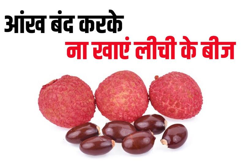 लीची के बीज क्या सच में सेहत के लिए है फायदेमंद? खाने से पहले एक्सपर्ट से जानें इसके 4 बड़े नुकसान