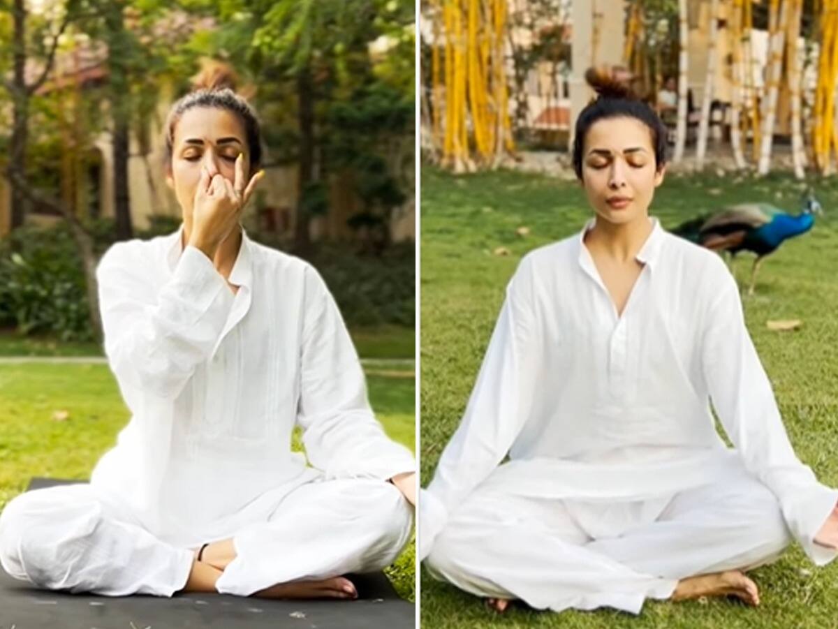 From Core-Strengthening To De-Stressing Yoga Poses: Kickstart Your Fitness  Journey With Malaika Arora