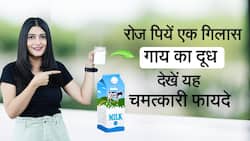 Benefits of Cow Milk: एक गिलास गाय के दूध से होते हैं ये फायदे, Watch Video