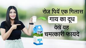 Benefits of Cow Milk: एक गिलास गाय के दूध से होते हैं ये फायदे, Watch Video Benefits of Cow Milk: एक गिलास गाय के दूध से होते हैं ये फायदे, Watch Video