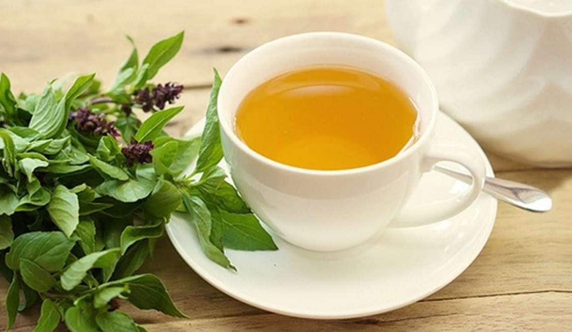 Diabetes To Kidney Stones 10 Health Benefits of Basil Tulsi