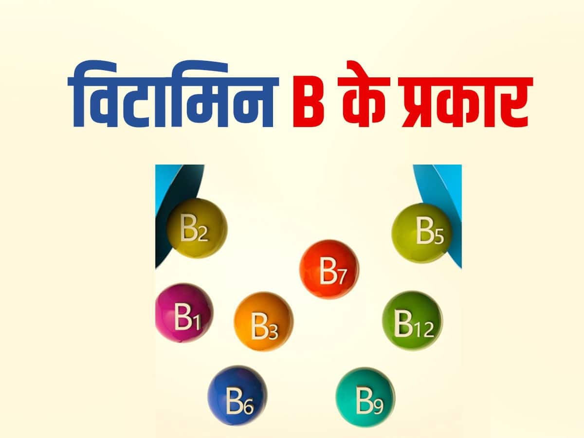 8 प्रकार के होते हैं विटामिन बी (Vit B), जानें इनकी कमी से होने वाली  बीमारियों और इनके स्त्रोत के बारे में  हिंदी