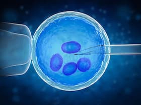 What Is Self-Cycle In IVF? A Fertility Specialist Explains What It Entails What Is Self-Cycle In IVF? A Fertility Specialist Explains What It Entails