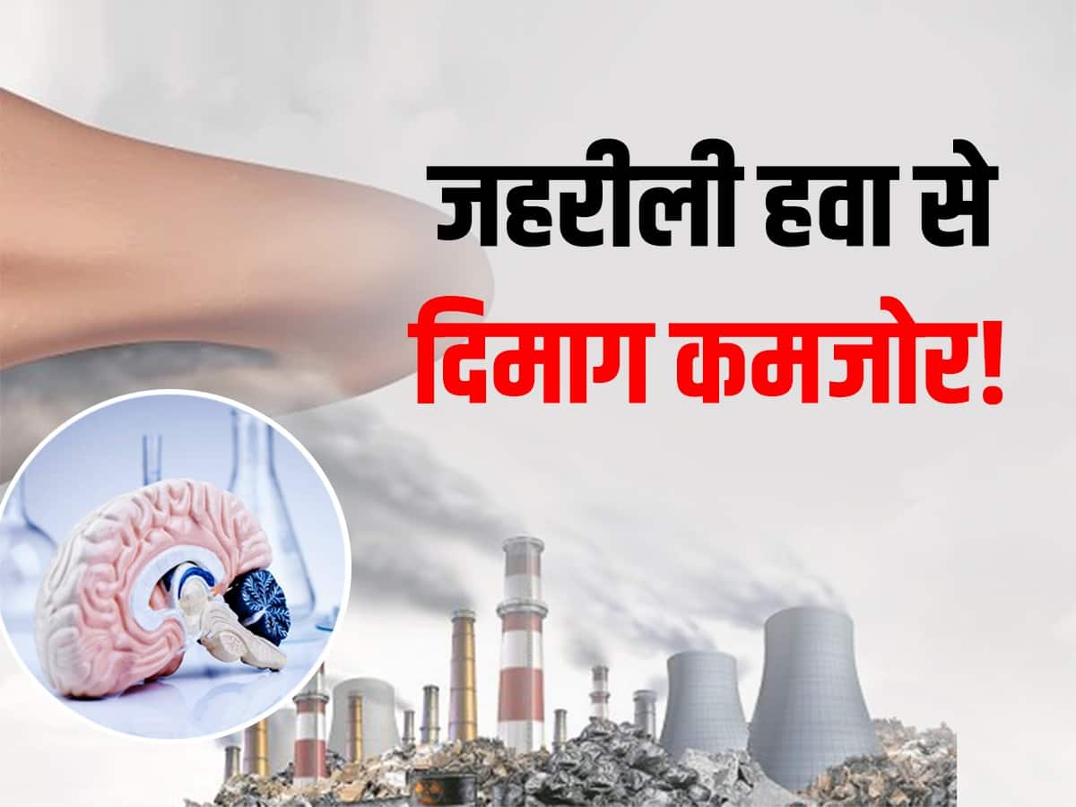 हवा में फैला प्रदूषण आपके दिमाग को बना रहा कमजोर! दूसरे अंगों के