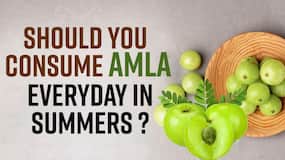 Amla In Summers: Benefits of Gooseberry During Summer Season, Watch Video