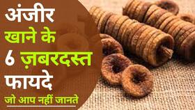 सुबह खाली पेट अंजीर खाने से होगा ये लाभ, इस तरह खाए अंजीर- Watch Video सुबह खाली पेट अंजीर खाने से होगा ये लाभ, इस तरह खाए अंजीर- Watch Video