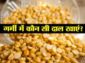 क्या गर्मियों में चना दाल खाना चाहिए? जानें गर्मी में कौन सी दाल खाएं, कैसे खाएं और कब खाएं क्या गर्मियों में चना दाल खाना चाहिए? जानें गर्मी में कौन सी दाल खाएं, कैसे खाएं और कब खाएं