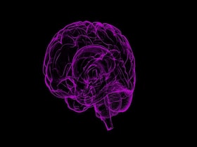 Brain Tumors Formation
