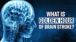 Brain Stroke: Know about Golden Hour During Brain Stroke, Watch Video