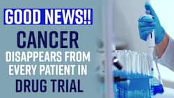 Cancer Disappears For Every Patient In The Drug Trial? Watch Video