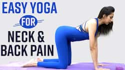 Cervical Spondylosis: Yoga Asanas for Back and Neck Pain, Watch Video