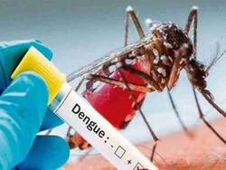 तेलंगाना और ओडिशा में फिर बढ़े डेंगू के मामले, स्वास्थ्य विभाग अलर्ट पर