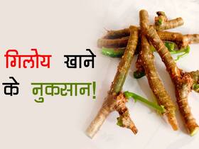 इम्यूनिटी बूस्ट करने वाला गिलोय इन 5 परेशानियों की है जड़! अधिक सेवन बना सकता है आपको बीमार