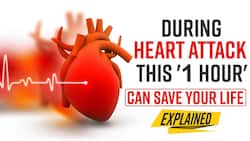 Heart Attack: Golden Hour Can Save Your life in Cardiac Arrest, Watch Video