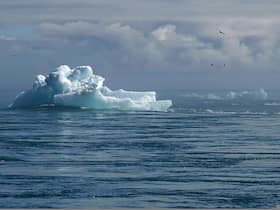 Omega-3 Fatty Acids: Effects of Climate Change On This Essential Nutrient