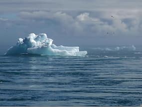 Omega-3 Fatty Acids: Effects of Climate Change On This Essential Nutrient