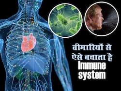 इम्यून सिस्टम के बिना एक दिन भी नहीं रह सकते आप, जानें क्या है इम्यून सिस्टम और यह रोगों से कैसे बचाता है