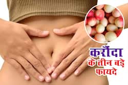 मैदे से लेकर तले भुने खाने को पचाने में मदद करता है करौंदा, जानिए गर्मियों में करौंदा खाने के 3 बड़े फायदे
