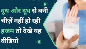 Lactose Intolerance: क्या आपको दूध पचाने में हो रही है दिक्कत? आपको हो सकती है लैक्टोज इनटॉलरेंस की समस्या, Watch Video Lactose Intolerance: क्या आपको दूध पचाने में हो रही है दिक्कत? आपको हो सकती है लैक्टोज इनटॉलरेंस की समस्या, Watch Video