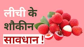 Litchi Side Effect: लीची खाने के हैं शौकीन तो जान लें इसके साइड इफेक्ट, जाने इसे खाने का सही वक़्त और तरीका, Watch Video
