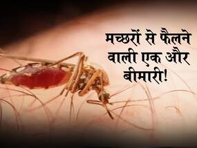West Nile fever : मलेरिया जैसे लक्षण वाली बीमारी आई सामने! जानिए West Nile fever के हैरान कर देने वाले लक्षण