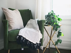 7 Reasons Why You Should Decorate Your House With Plants 