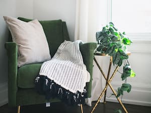 7 Reasons Why You Should Decorate Your House With Plants 