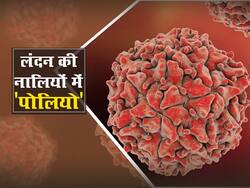 लंदन की नालियों में मिला पोलिया वायरस! एक्सपर्ट का दावा स्थानीय स्तर पर फैल सकता है पोलियो