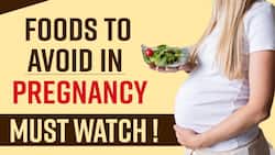 Pregnancy Food: Food that you should avoid while Conceiving Pregnancy, Watch Video